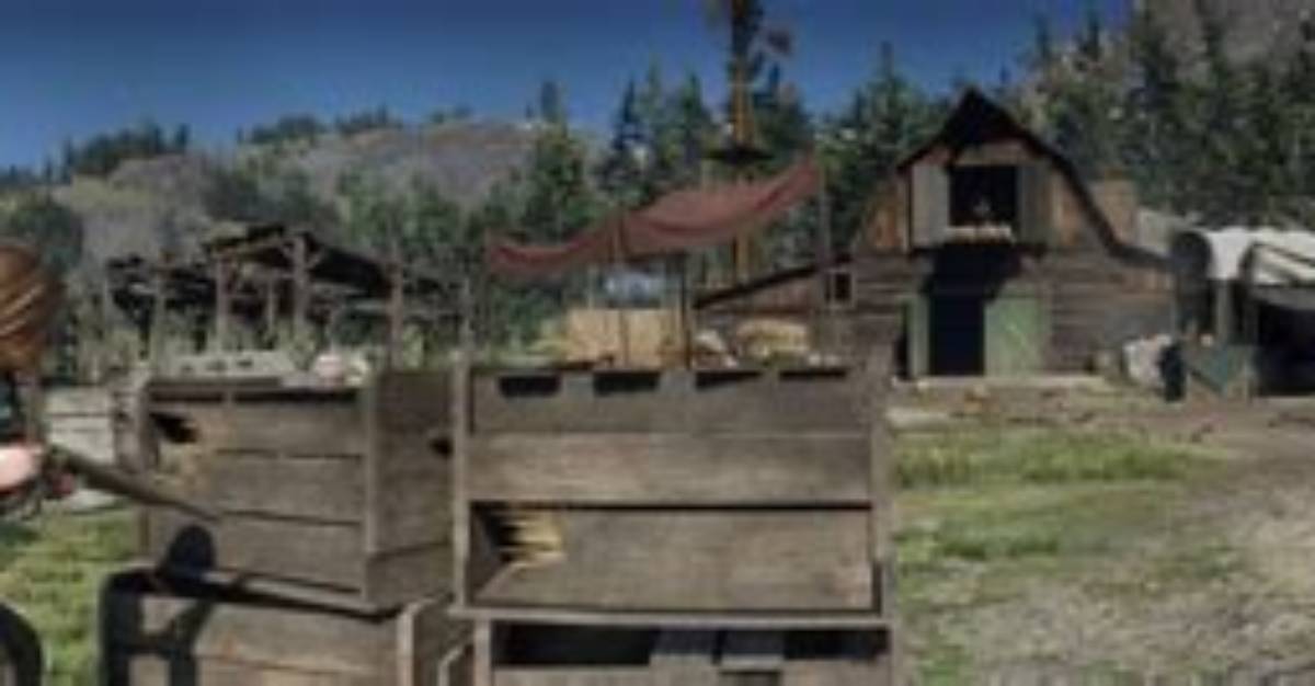 Mrs. Sadie Adler, Widow, Red Dead Redemption 2 Mission