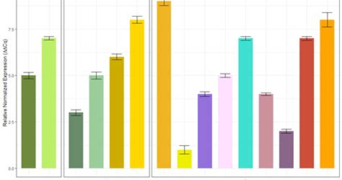 Multi-Row X-Axis Labels in Ggplot Line Chart