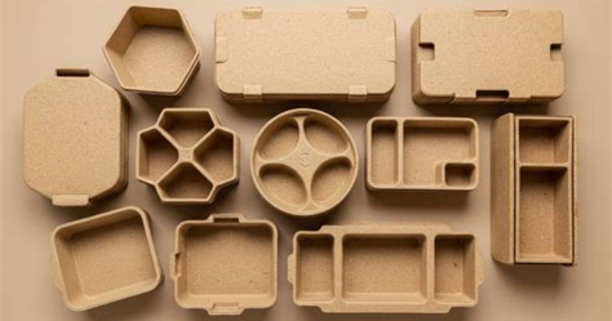 Name a Food That Can Be Molded into a Shape: Fun Frenzy Trivia Answers