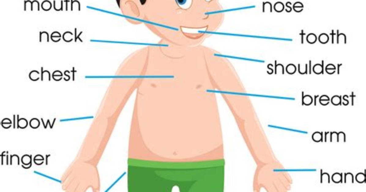 Name a Part of the Body: Text or Die [Answers]