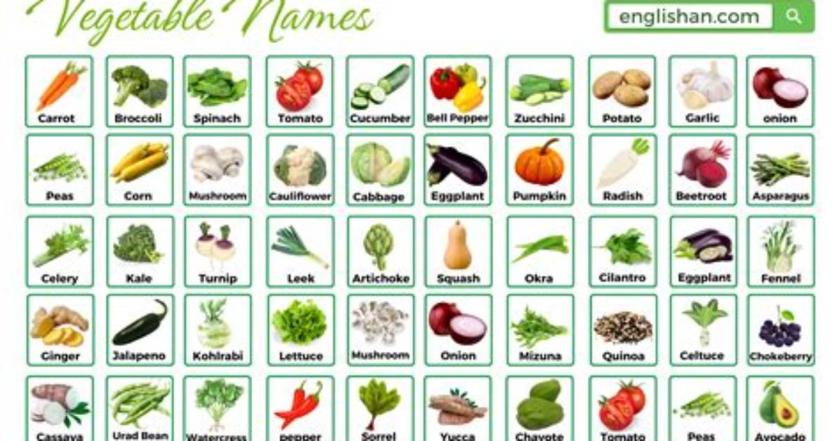 Name a Vegetable That Begins with the Letter “B” [Family Feud Answers]