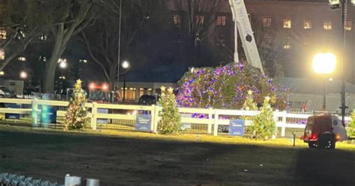 National Christmas Tree Toppled by Strong Wind; Officials Hopeful to Still Hold Lighting Ceremony