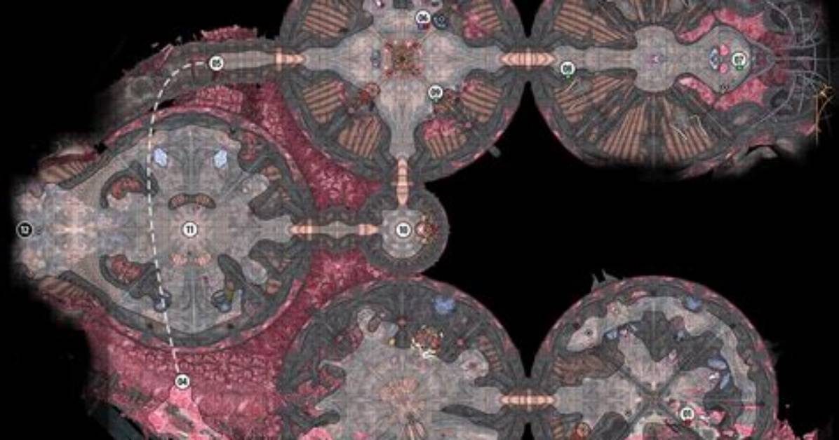 Nautiloid Prologue Map Baldur's Gate 3 (Bg3)