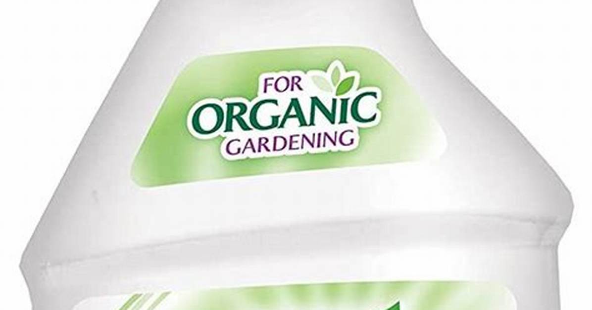 Neem Oil Walmart - How to Discuss