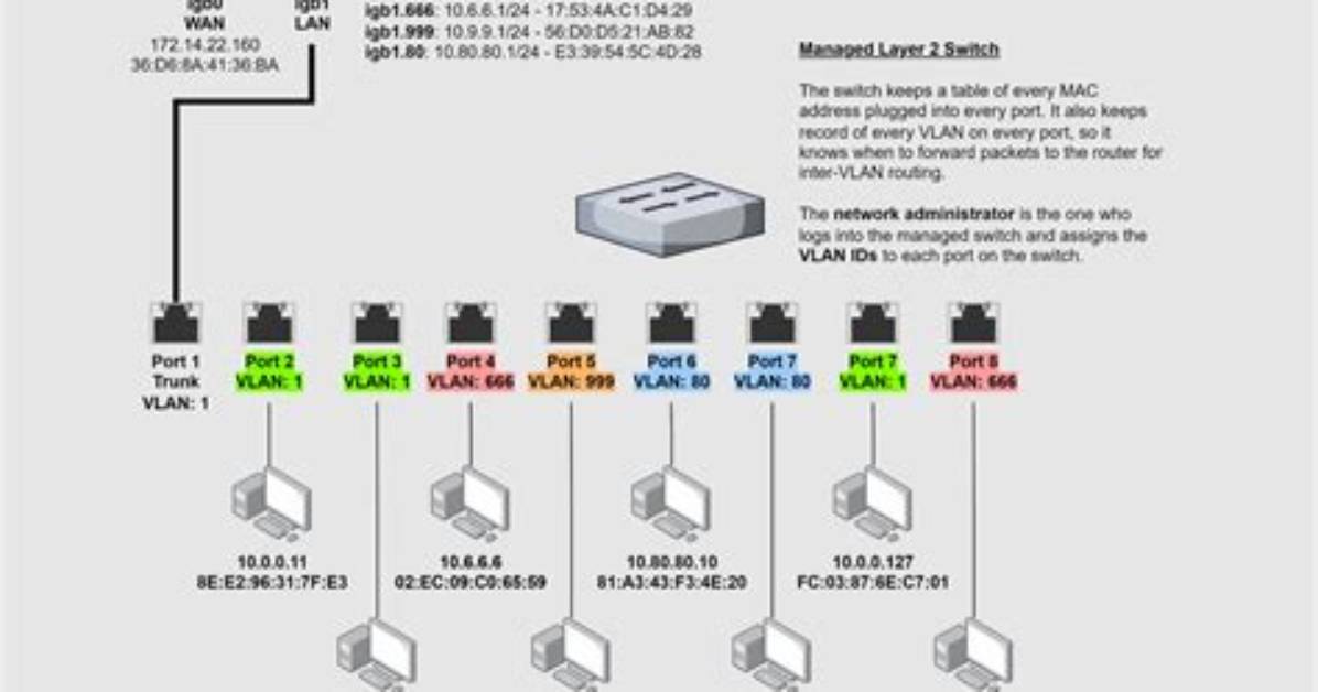 Netplan with Multiple Vlans on Single Interface - Help Needed