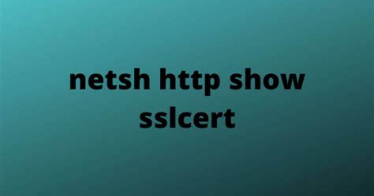 Netsh Http Show Sslcert Does Not Show Certificate Information