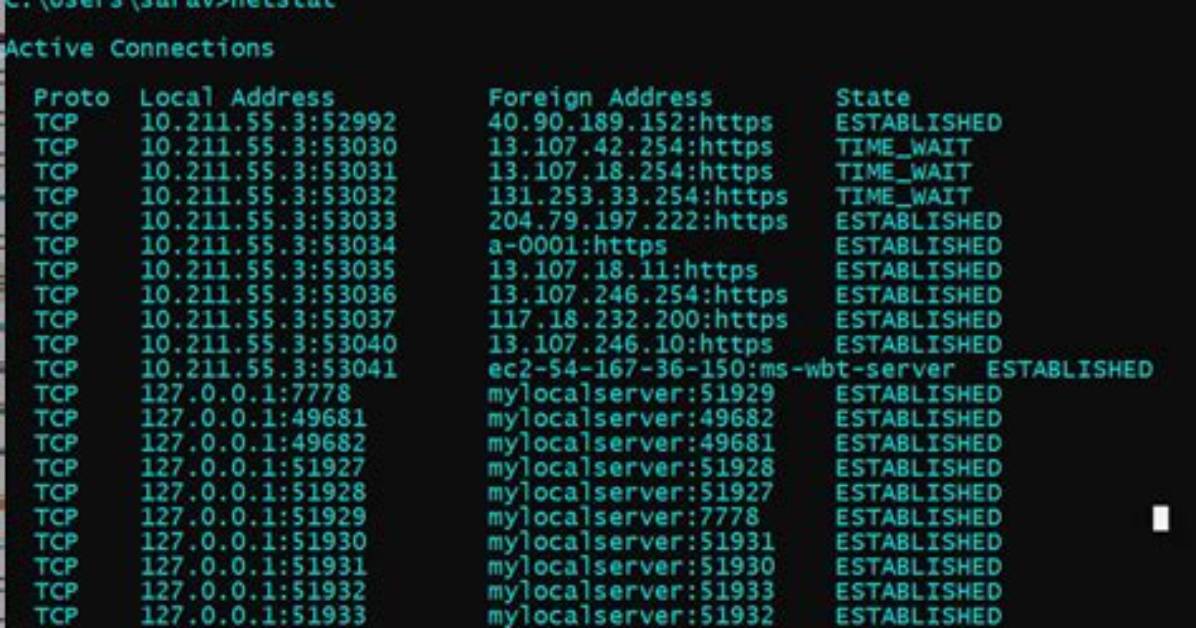 Netstat -Ano. What Does This Mean. .?