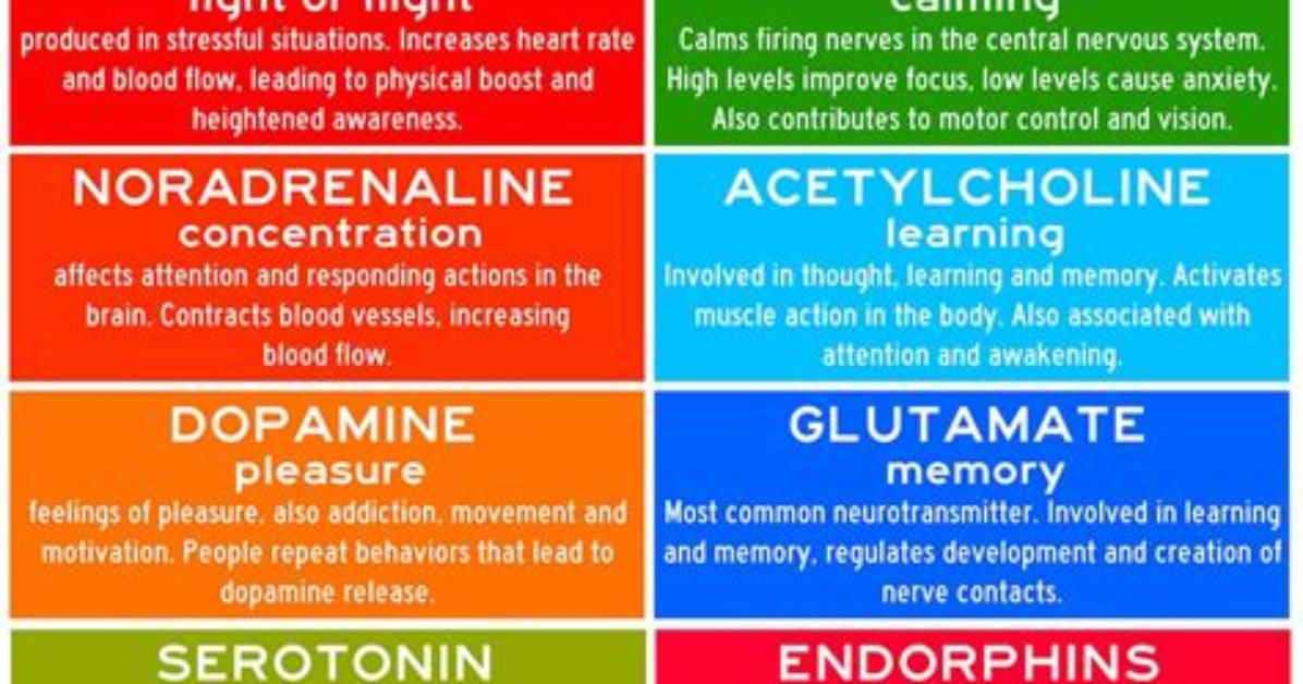 Neurotransmitters, Example, Function, vs Hormones, Classification