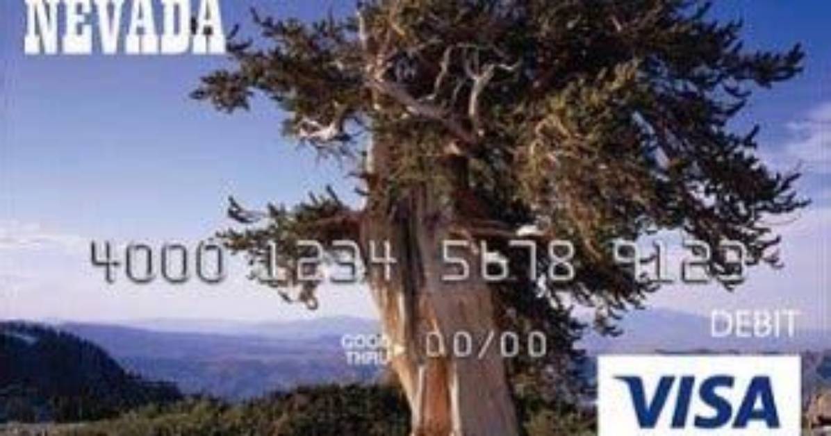 Nevada Child Support Debit Card Changing |
