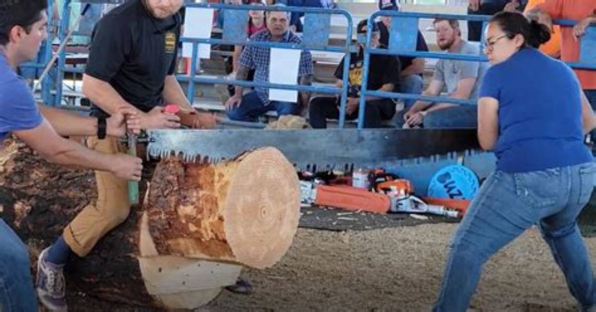 Nevada Loggers Cuts Its Way to Victory in Sierra-Cascade Logging Conference | News