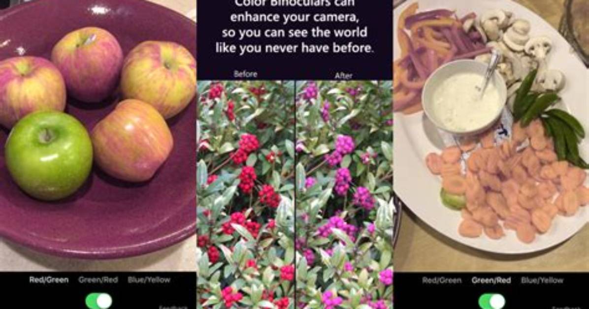 New Microsoft App Color Binoculars Helps the Color Blind Distinguish Difficult Colors