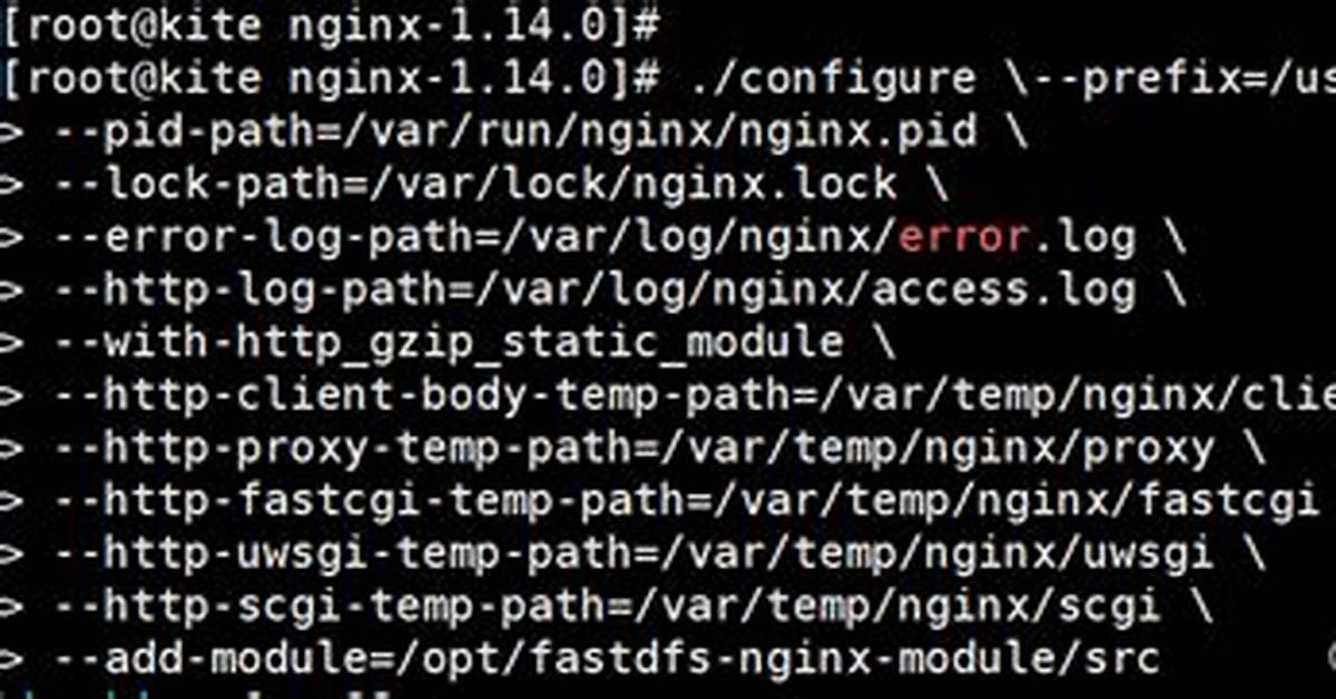 Nginx Invalid Url Prefix