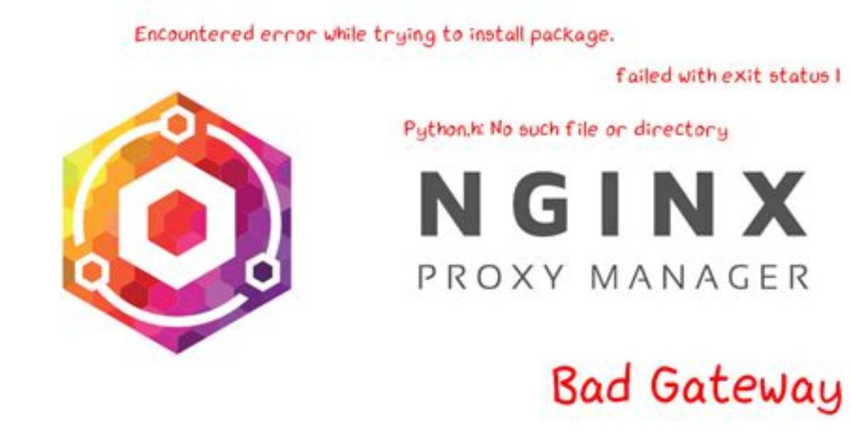 Nginx Proxy Manager 502 Bad Gateway Error Only on Https Mode