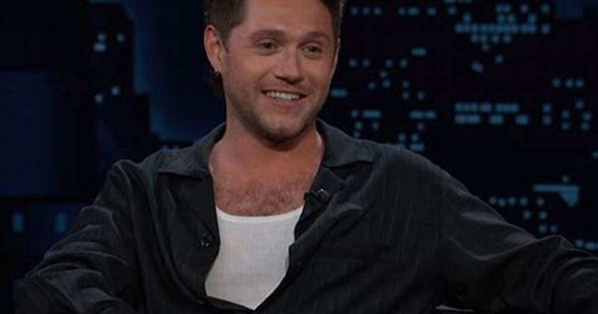 Niall Horan Makes U. S. Television Debut on Ellen