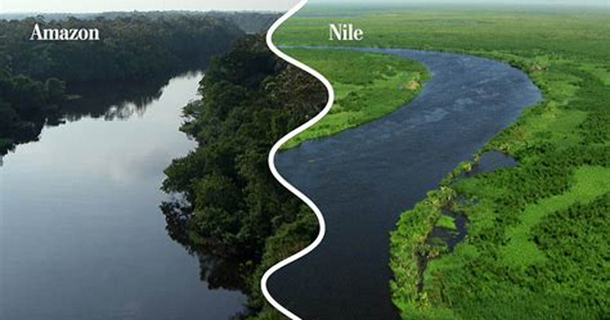 Nile vs Amazon