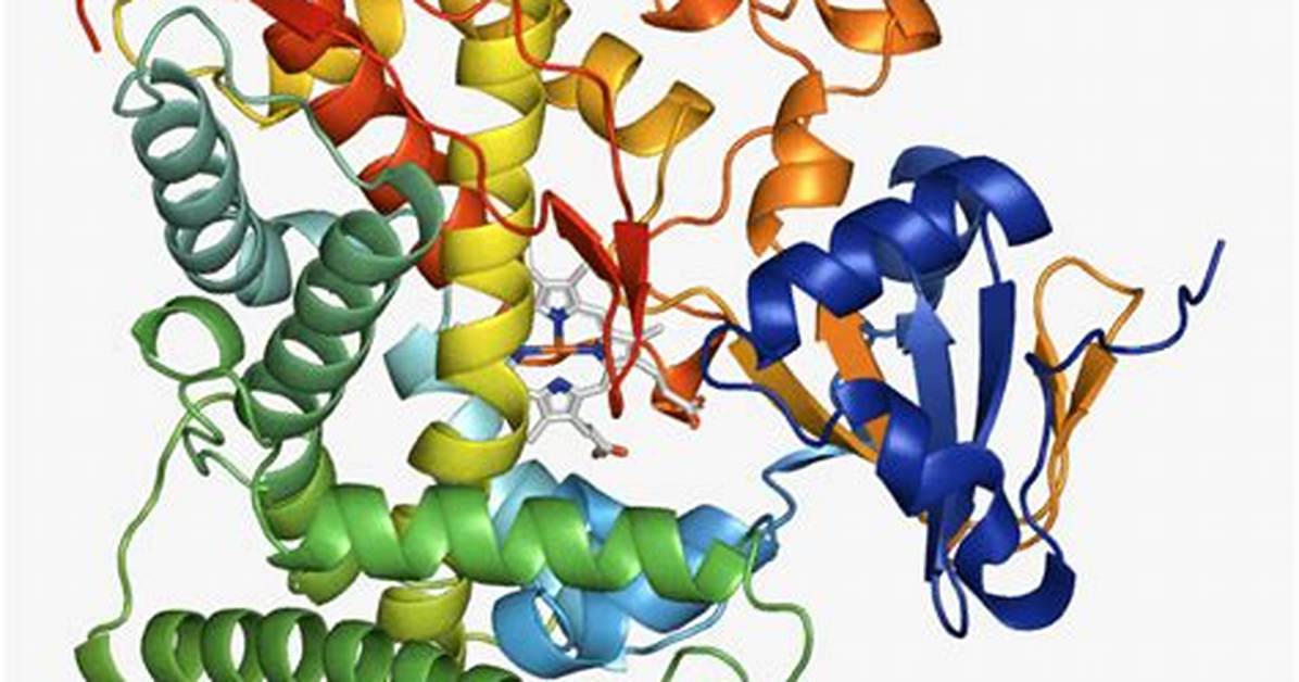 Notes on Enzyme Crystal Structure