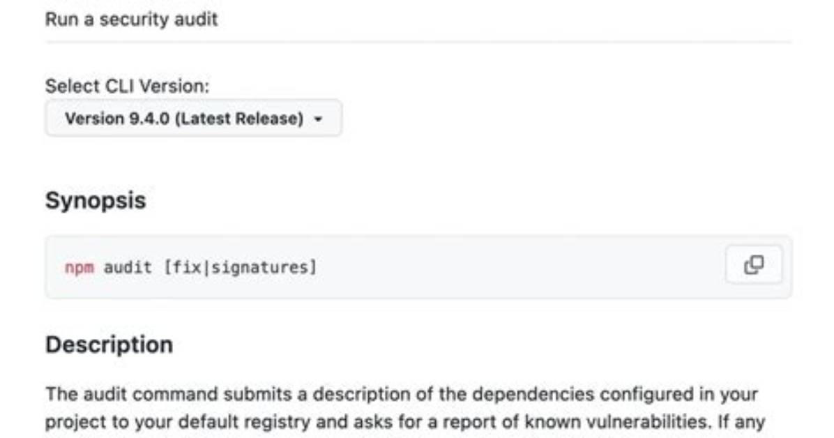 Npm Audit Warnings