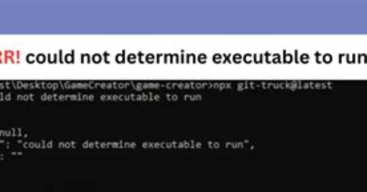 Npm Err! Could Not Determine Executable to Run