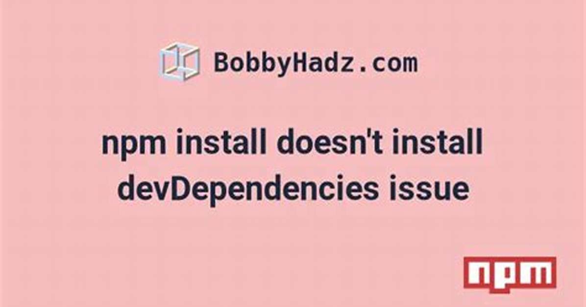 Npm Install Won't Install devDependencies