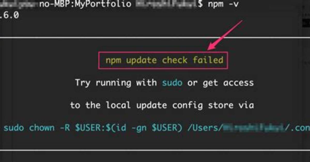 Npm Update Check Failed