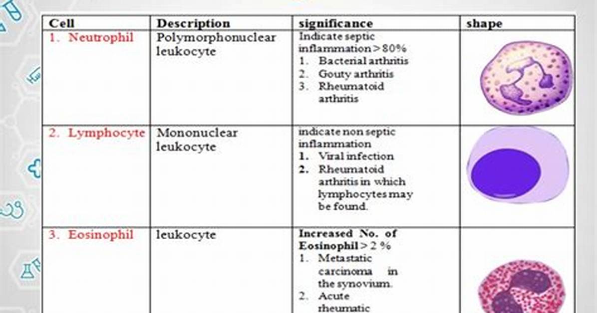 Nucleated Cells Synovial Fluid