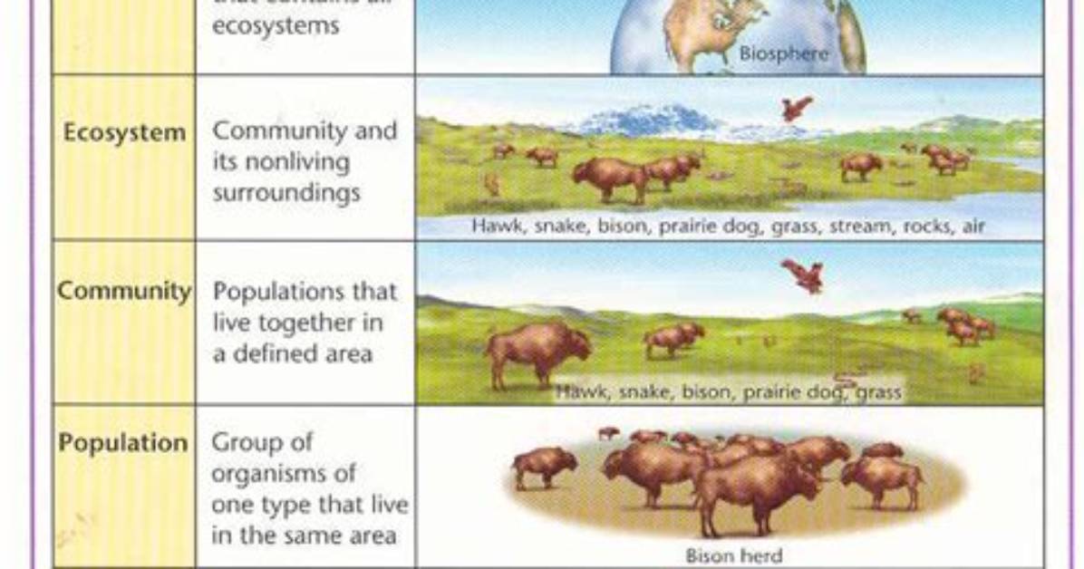 On a Biotic Community?
