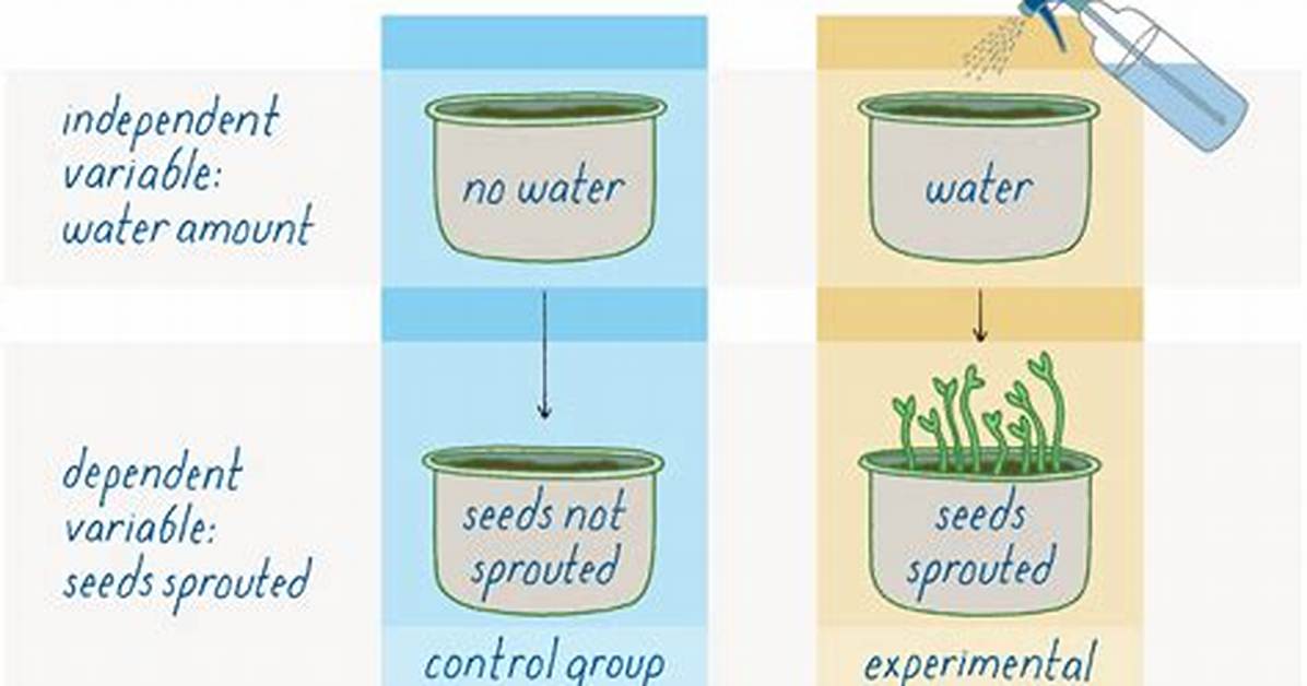 On a Controlled Experiment?