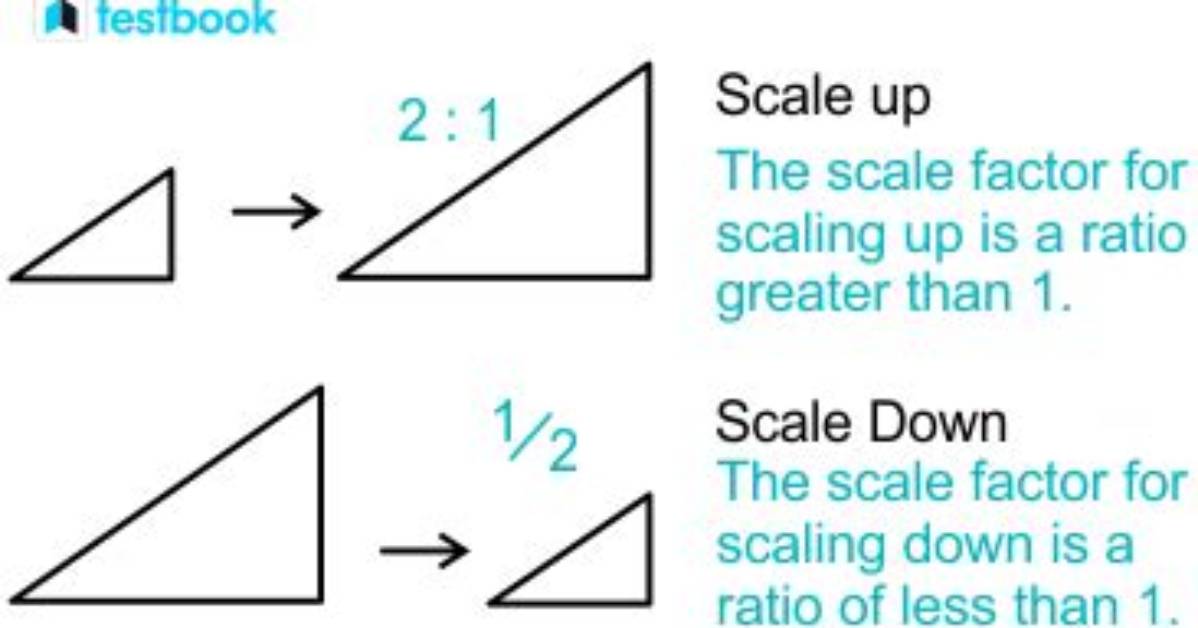 On a Scale Down Meaning?