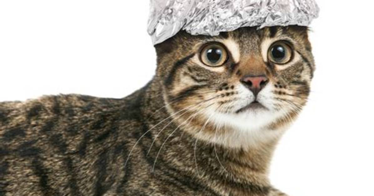 On a Tinfoil Hat?