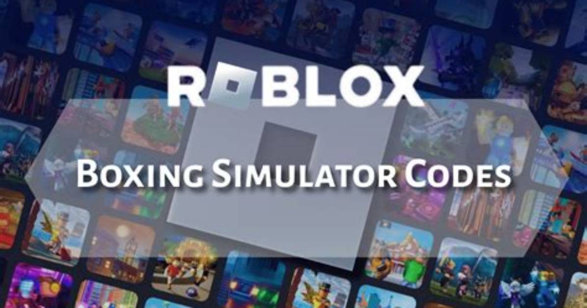 On Boxing Simulator Codes?