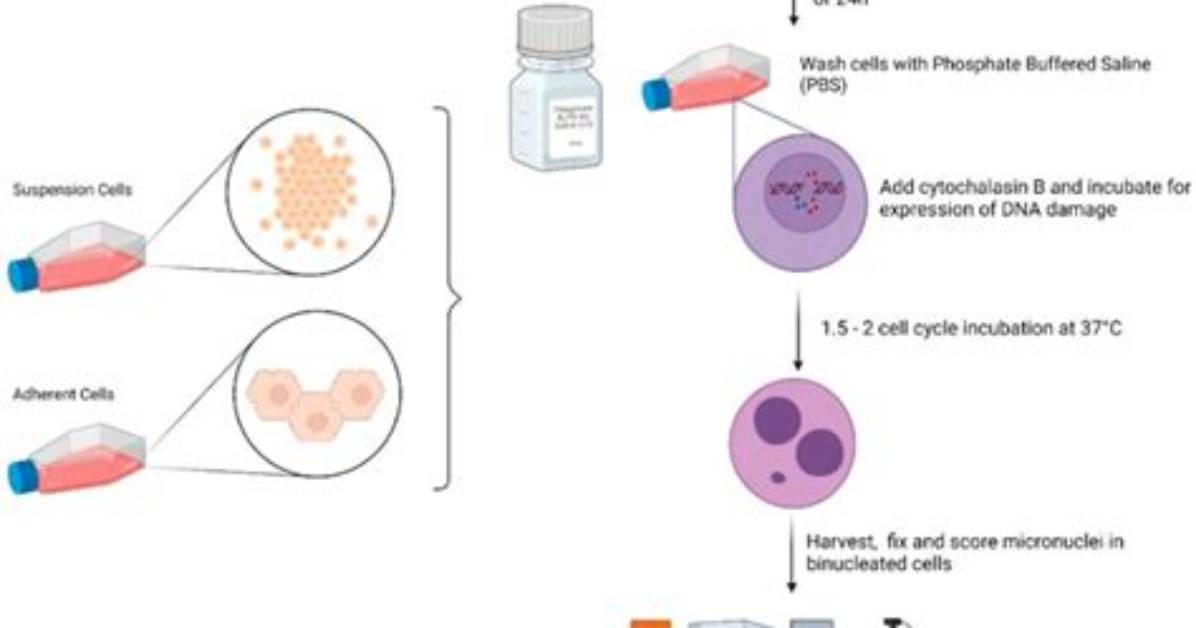 On in Vitro Assay?