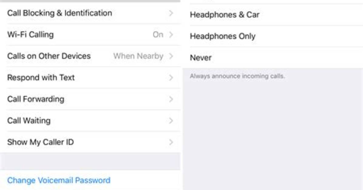 On Iphone What Does Announce Calls Mean?