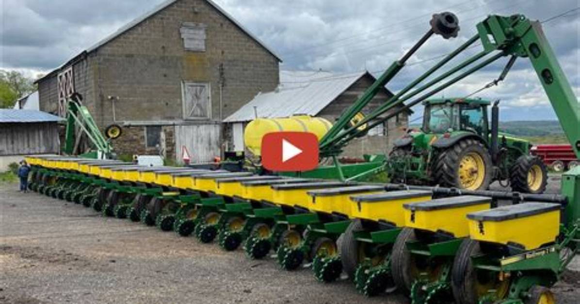 One Lonely Farmer Net Worth – Phone Number, House Address, Wiki