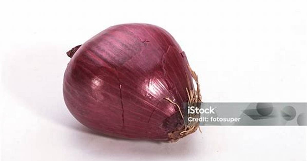Onion Tuber