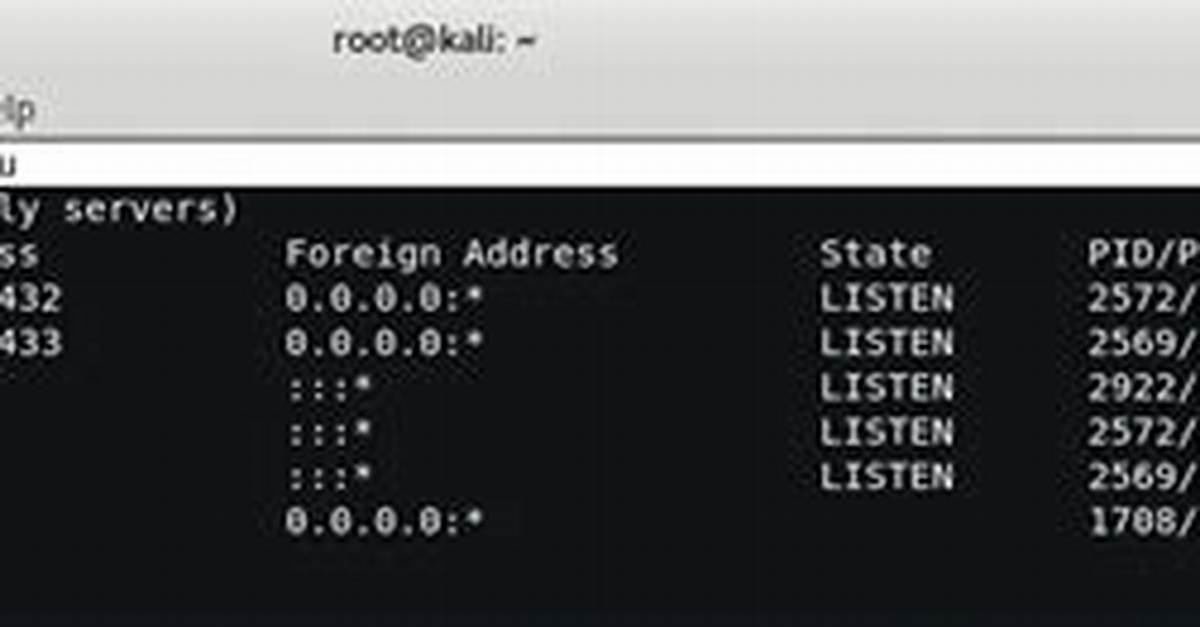 Open Ports - Netstat