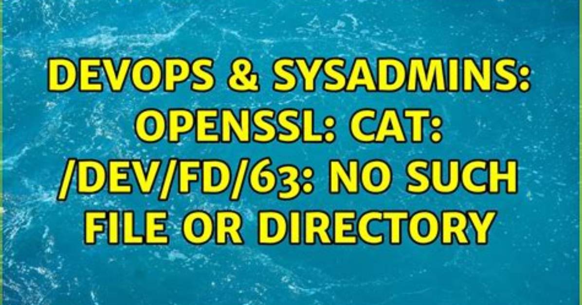 Openssl: Cat: /Dev/Fd/63: No Such File or Directory