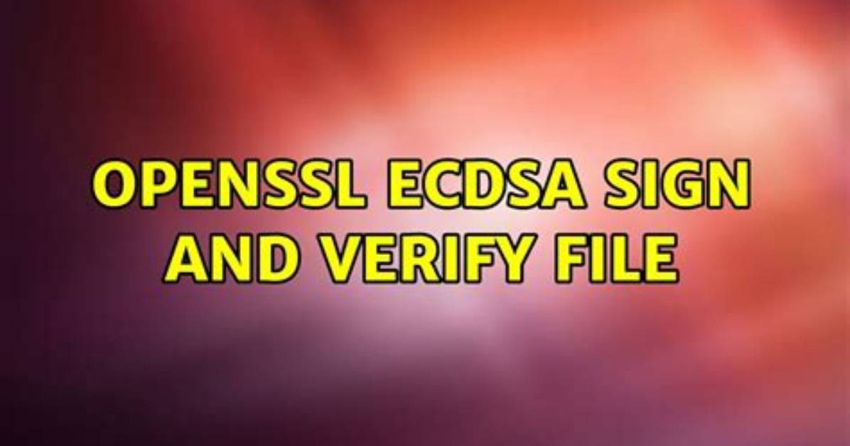Openssl Ecdsa Sign and Verify File