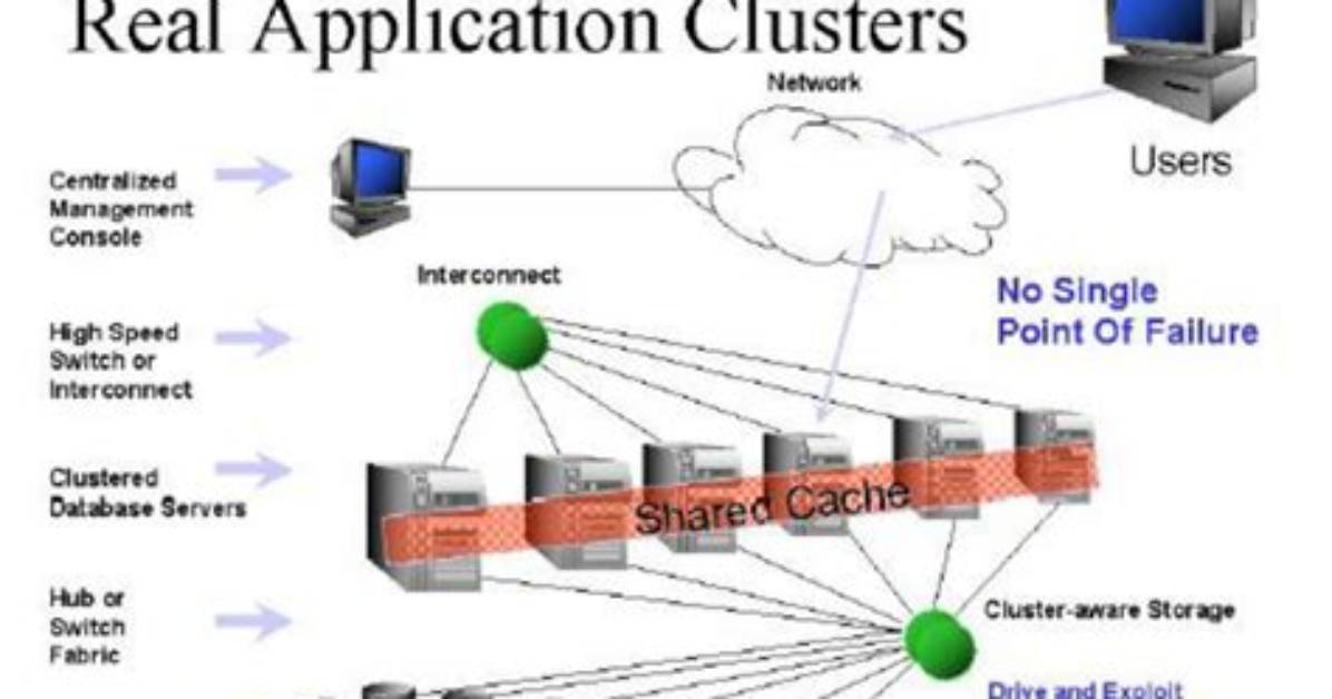 Oracle Real Application Cluster or Real Application Cluster One Node Database - Documentation for Bmc Patrol for Oracle Enterprise Database 2.1