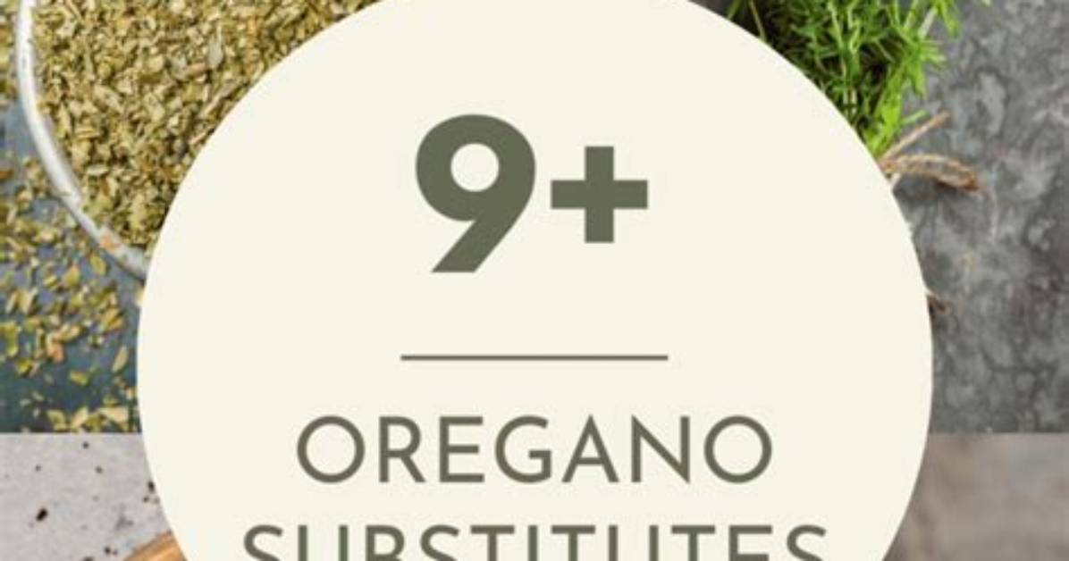 Oregano Substitute