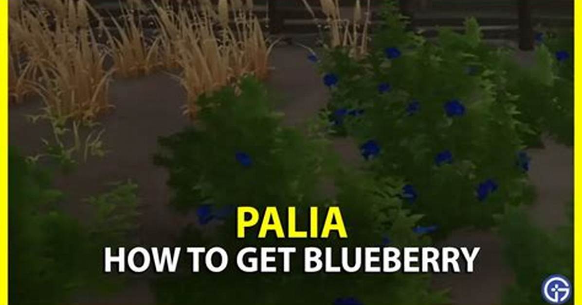 Palia: Where to Get and Use Blueberry Bush Seeds