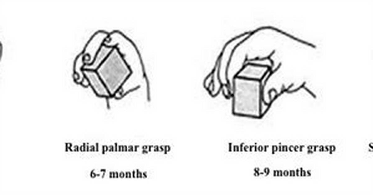 Palmar Grasp