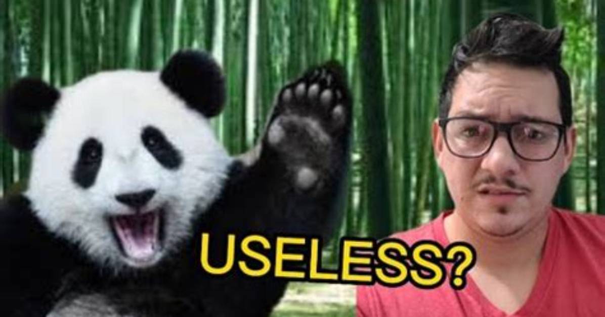 Pandas Are Useless