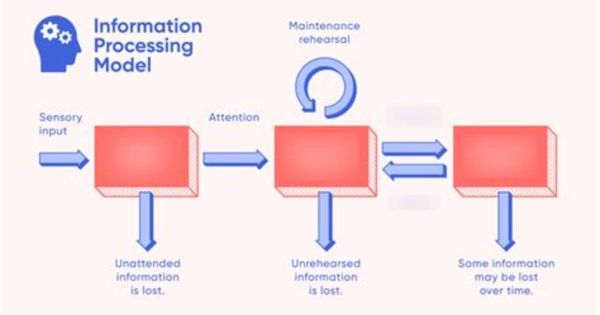Parallel Processing Psychology