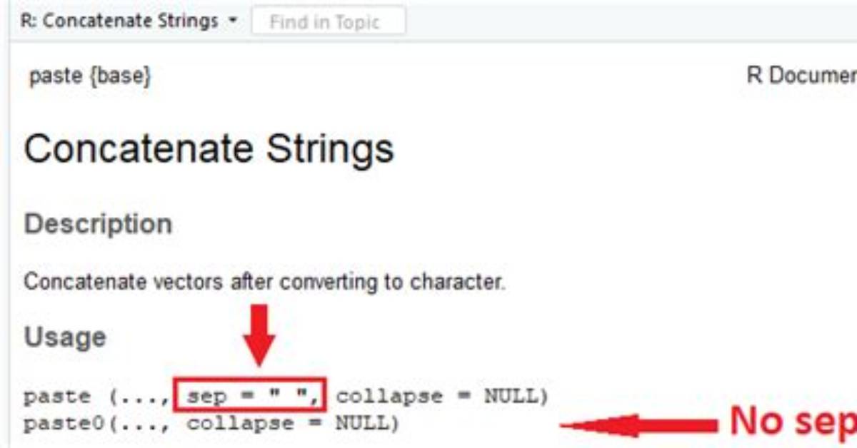Paste/Collapse in R