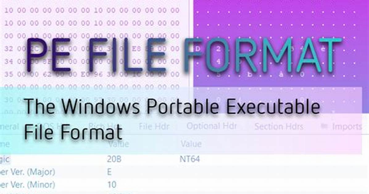 Patching a Pe Executable