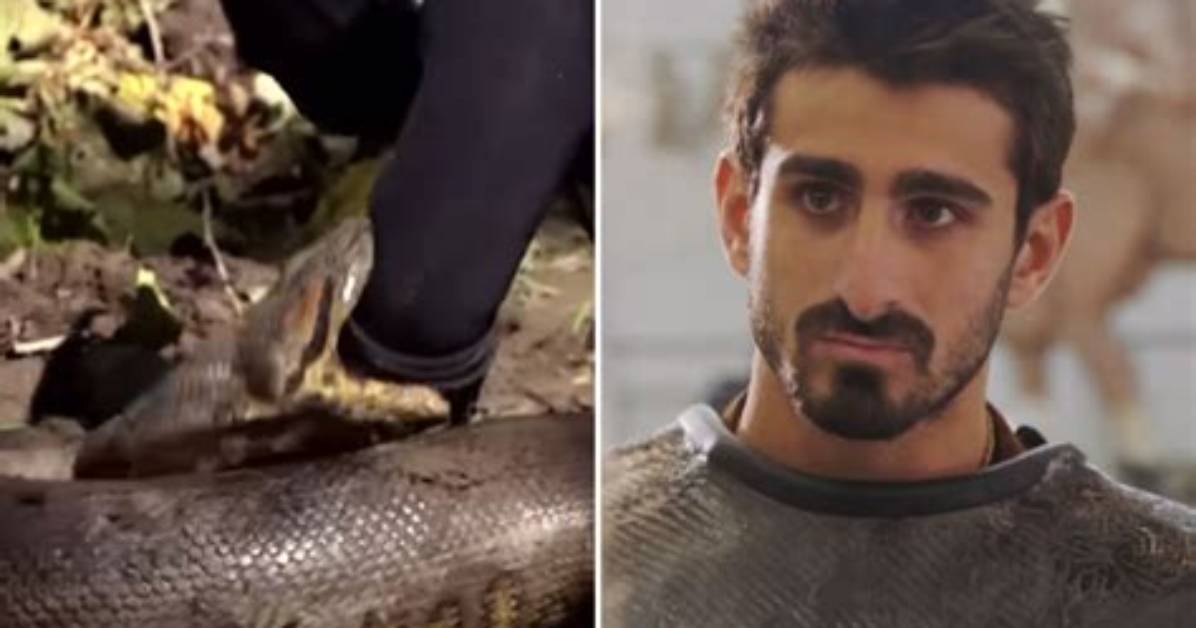 Paul Rosolie's Attempt to Be Swallowed by Anaconda