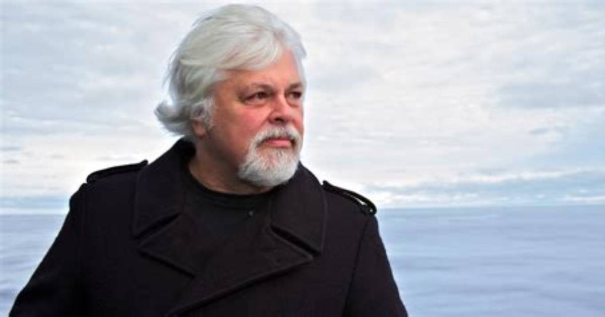 Paul Watson Net Worth