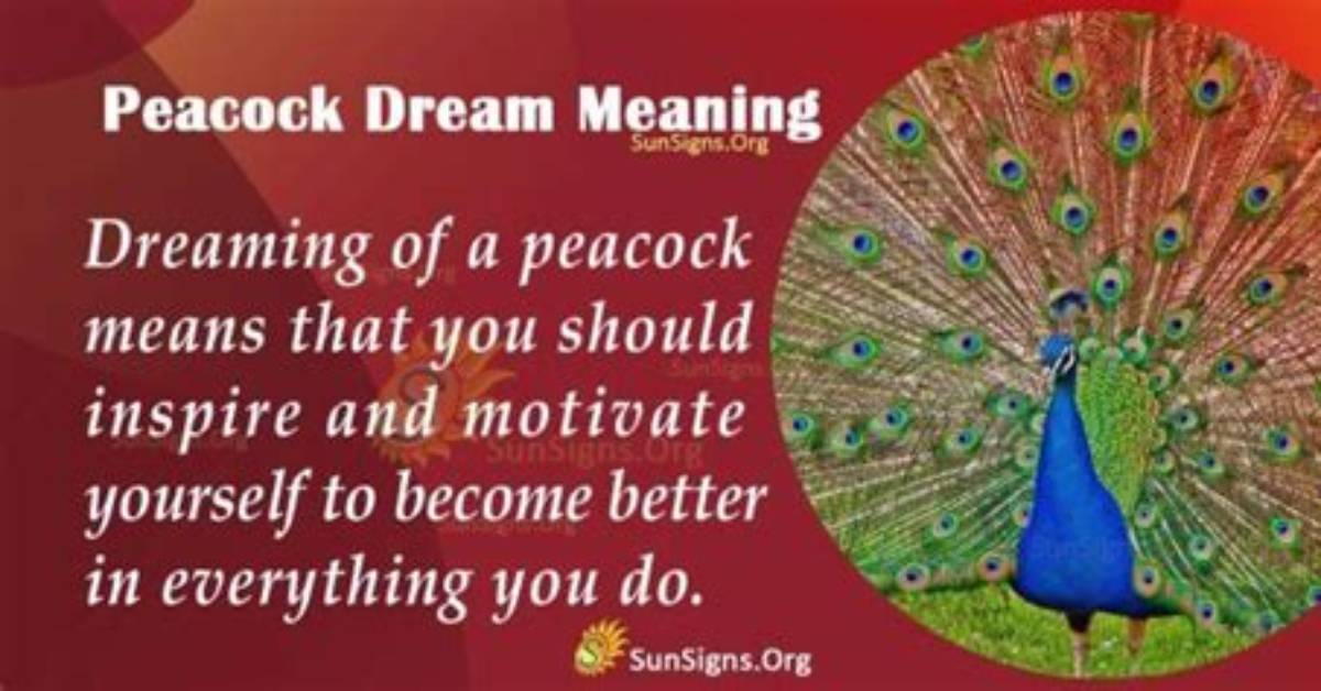 Peacock Dream Symbol - Meaning, Interpretation and Symbolism