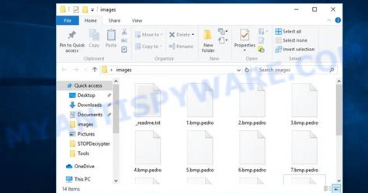 Pedro Virus. How to Decrypt. Pedro Files?