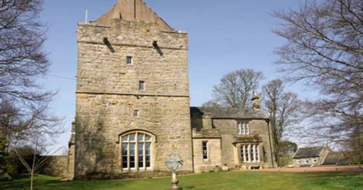 Pele Tower | Co-Curate